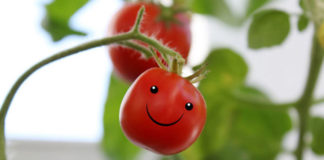 benefits of tomato