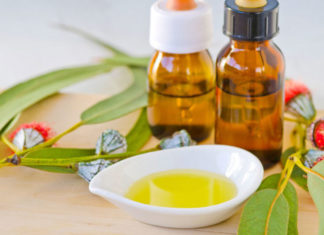 benefits of Eucalyptus essential oil