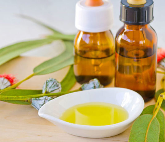 benefits of Eucalyptus essential oil