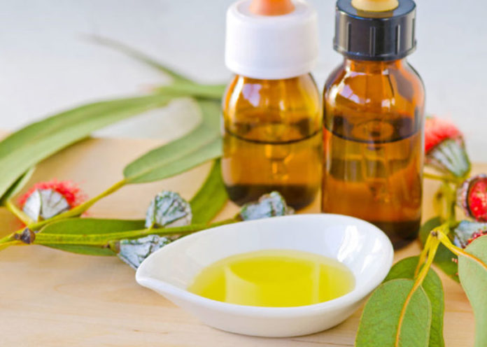 benefits of Eucalyptus essential oil