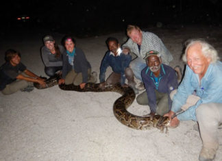 Indian snake hunters