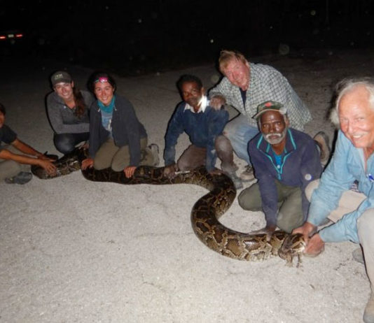 Indian snake hunters
