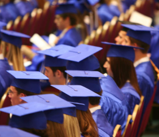 Optional Practical Training