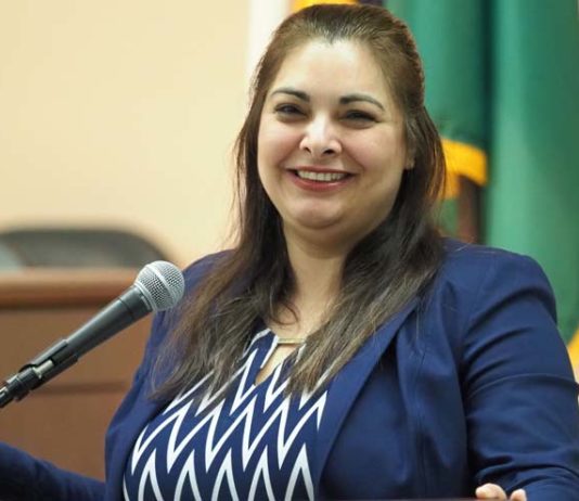 Washington-State-Senate