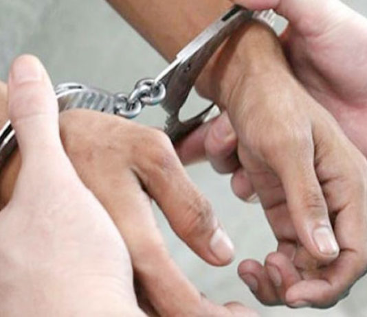 Indian American held for selling gun silencers