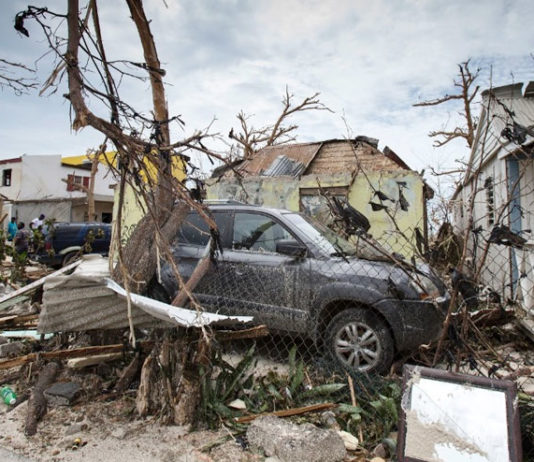 Indian-American providing resources to help Florida