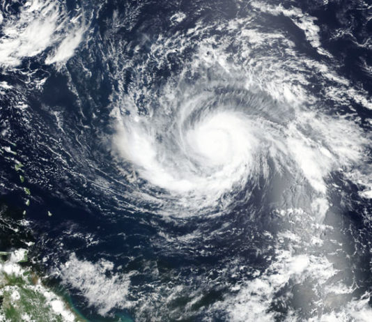 Indian-Americans conducting relief operations