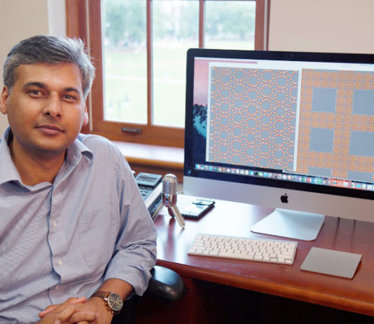 Indian-American professor receives prize