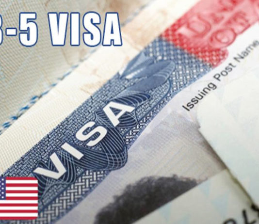 Investment linked visa