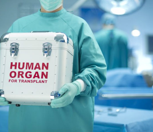 organ donor