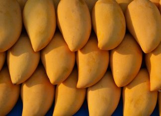 mangoes