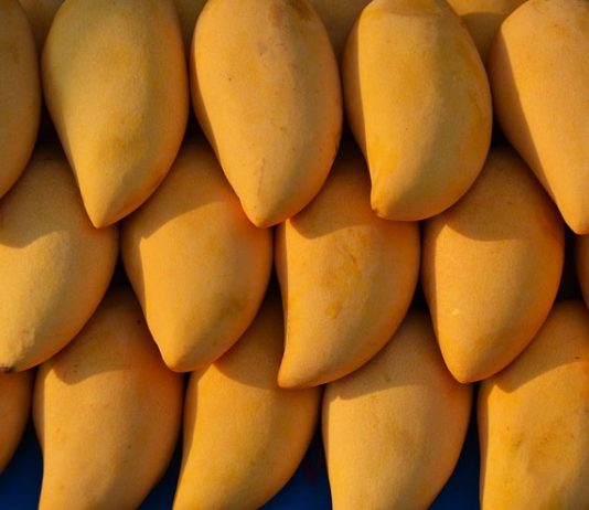 mangoes