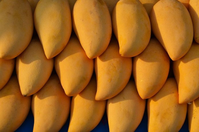 mangoes