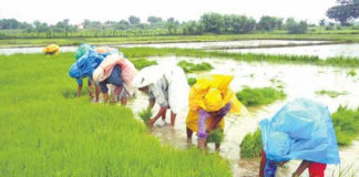 Farmers-of-Yadadri-District