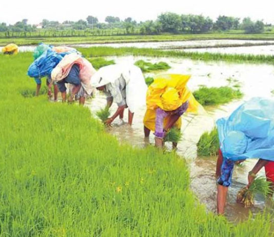 Farmers-of-Yadadri-District