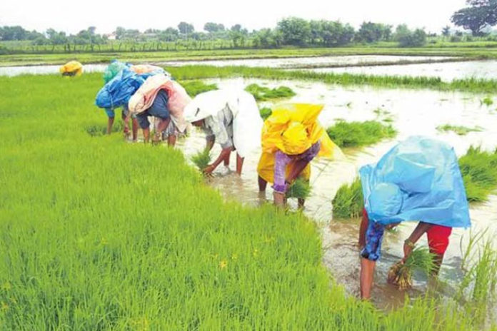 Farmers-of-Yadadri-District