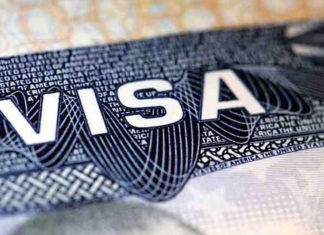 H-1B-visa