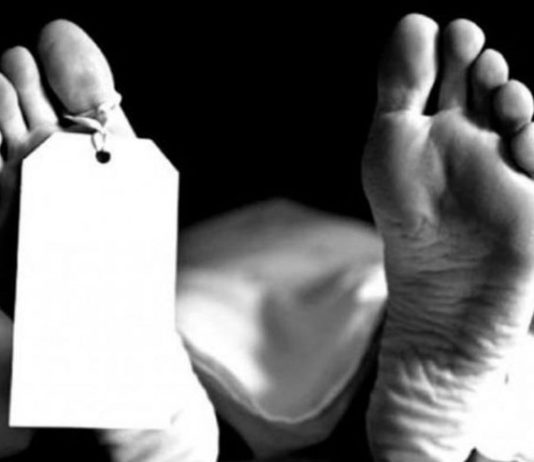 NRI-Kamareddy-district-dies