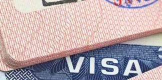 suspend-H-1B-Visa