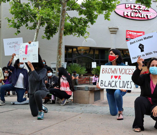 Brown-Voices-for-Black-Live