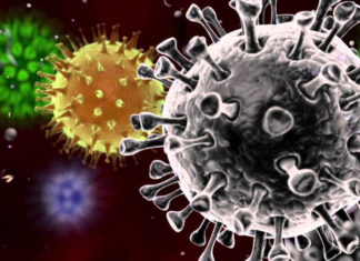 Coronavirus-Possibly-Hit