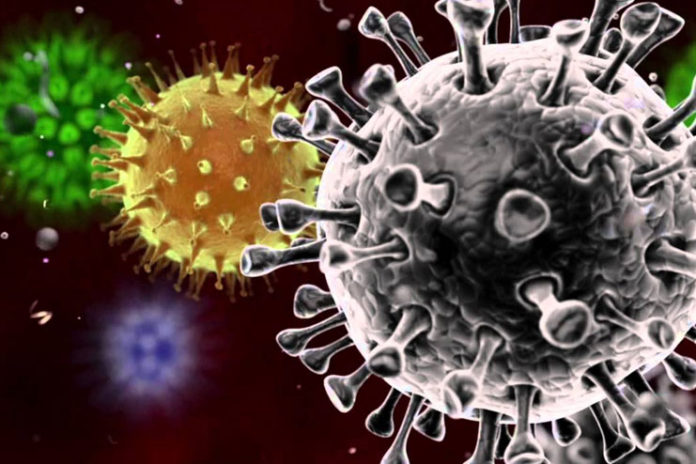 Coronavirus-Possibly-Hit