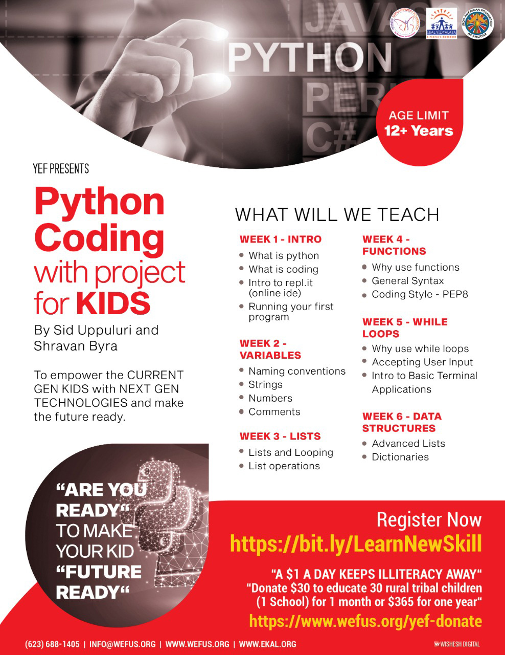 Python-and-Software-Languag