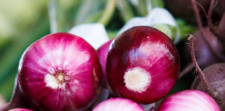 Red-Onions-from-the-US