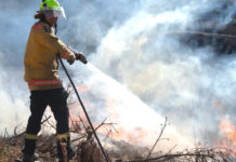 Australia-Bush-Fire