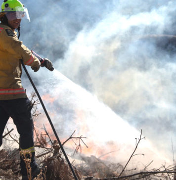 Australia-Bush-Fire