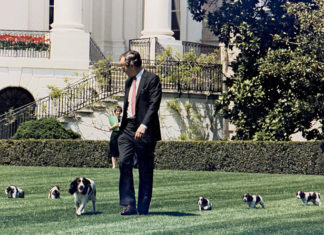 White-House-Pets