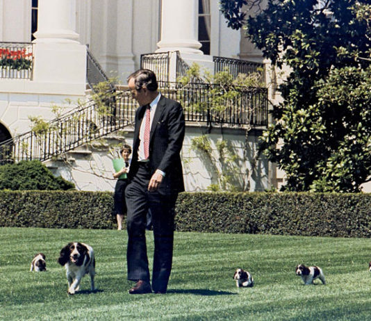 White-House-Pets