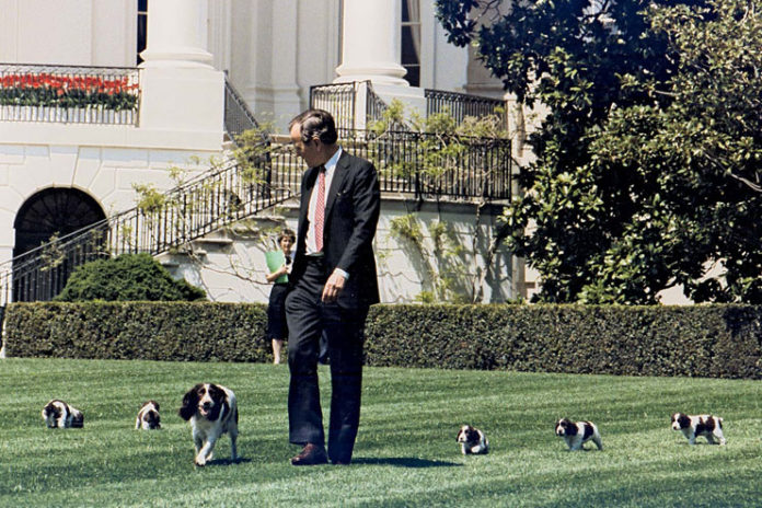 White-House-Pets